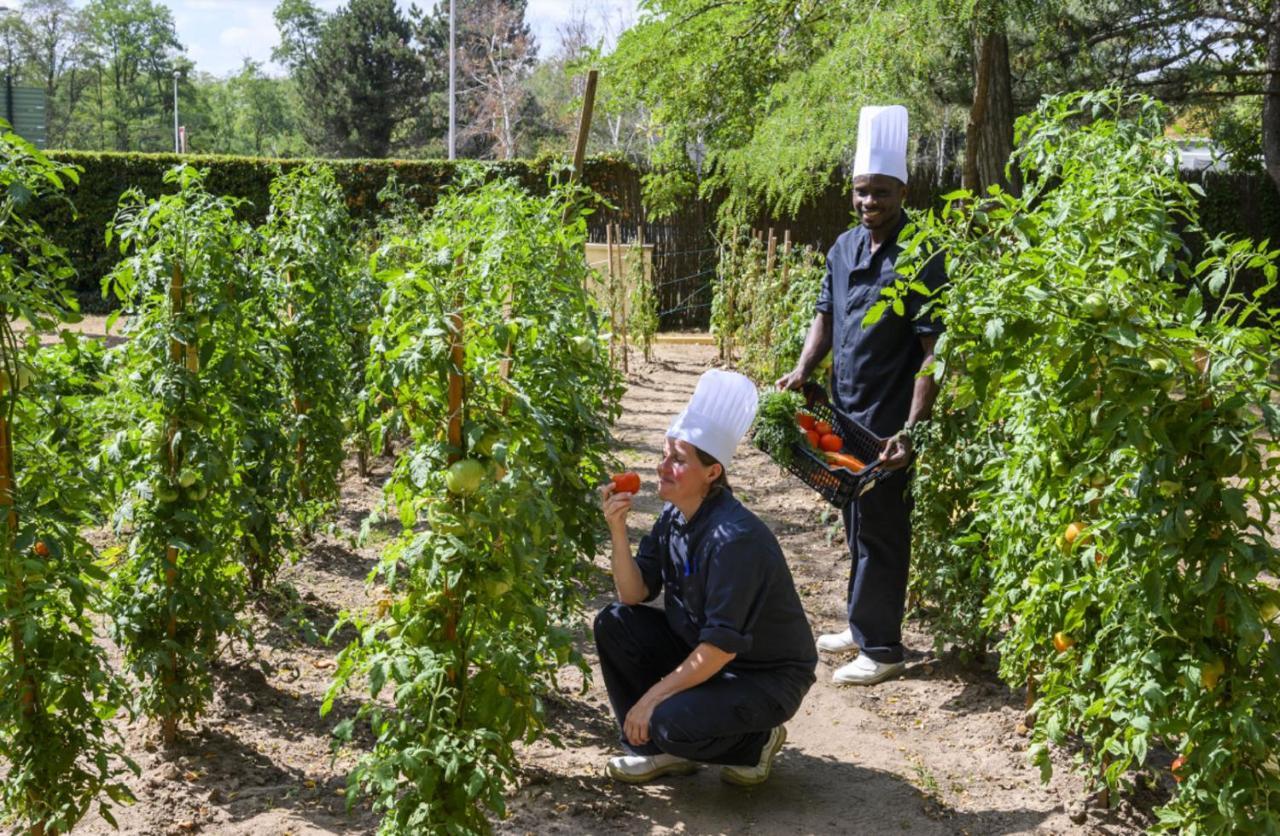 Demeures De Campagne Chemins De Sologne A Orleans Ξενοδοχείο Εξωτερικό φωτογραφία